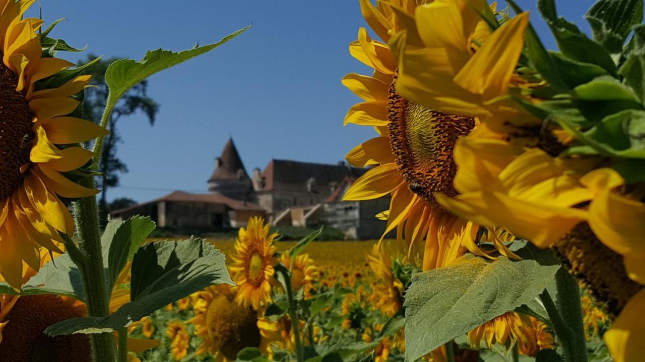 Lpc Dordogne Holidays - Le Petit Coin Lussas-et-Nontronneau Dış mekan fotoğraf